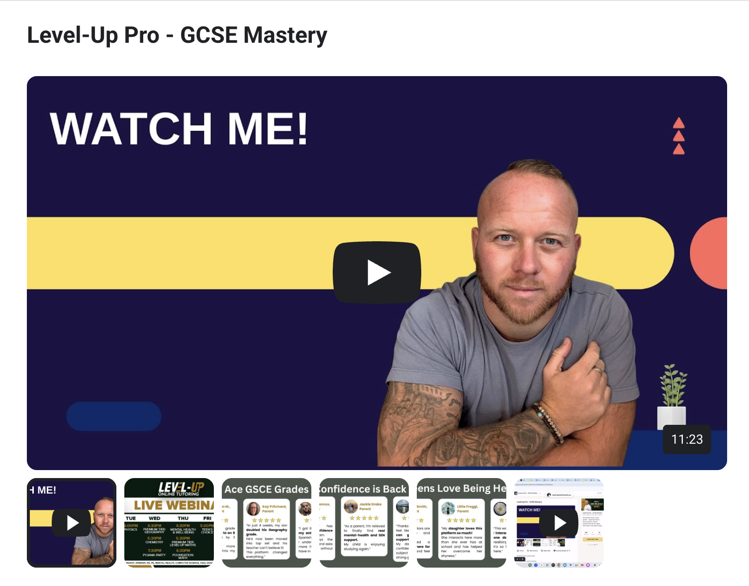 Screenshot of the Level-Up GCSE support programme with video lessons and structured online support